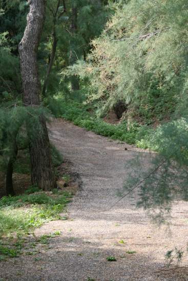 La salita pedonale da Falconara Marittima a Falconara Alta