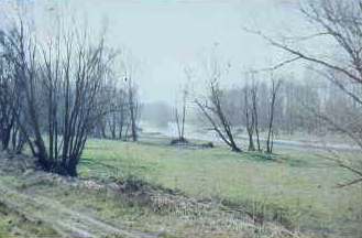 Vista invernale n°1