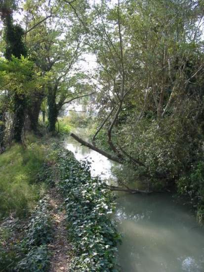 Il canale che porta acqua al mulino