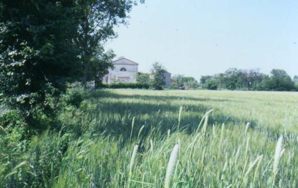 La chiesa di san Lorenzo in fondo ad un campo di grano