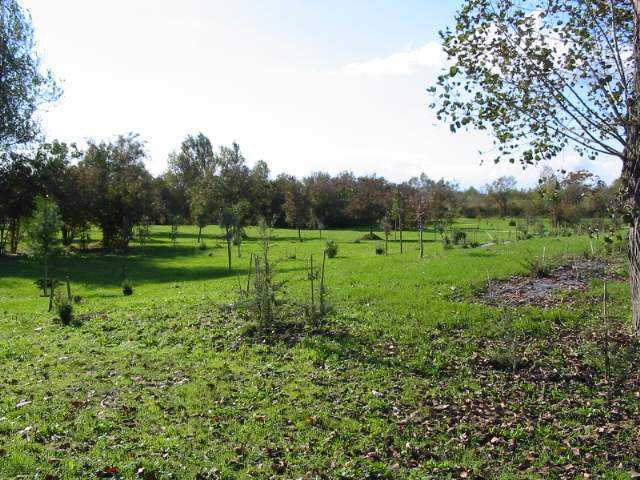 L'arboreto didattico, presso Fiumesino