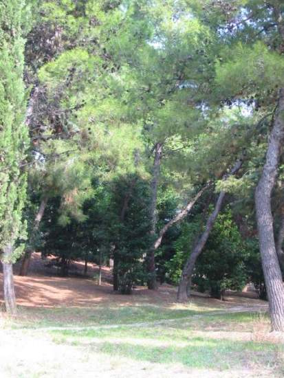 Il parco Kennedy