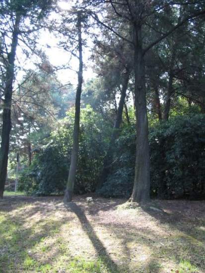 Il parco Kennedy
