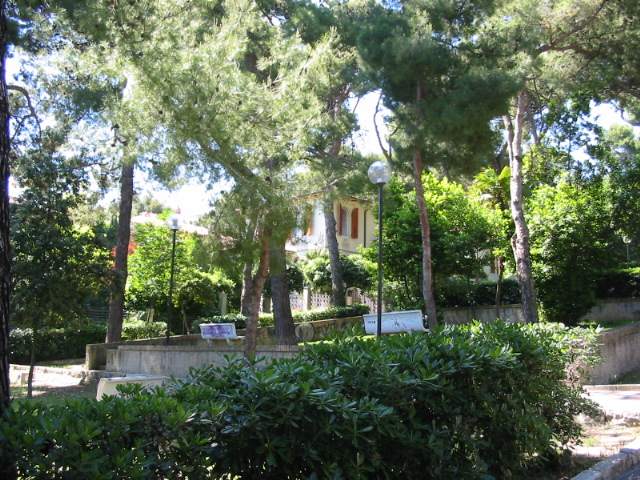 La pineta in via IV novembre